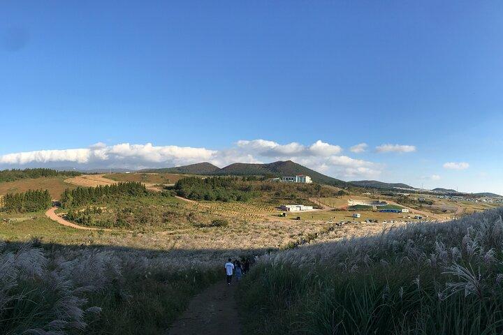 West of Jeju island Bus Tour from Seogwipo city, Jeju island