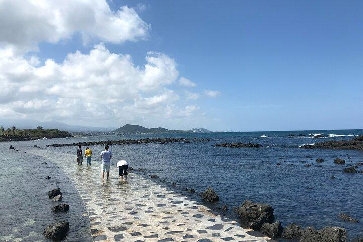 West of Jeju island Bus Tour from Seogwipo city, Jeju island