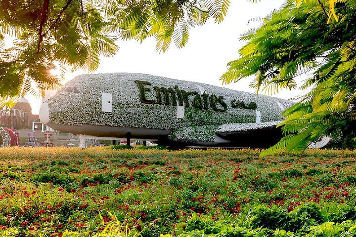 Miracle Garden and Global Village with Hotel Transfer