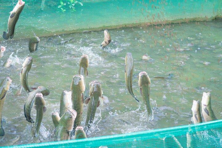 Can Tho Culture and River Life Full Day Experience