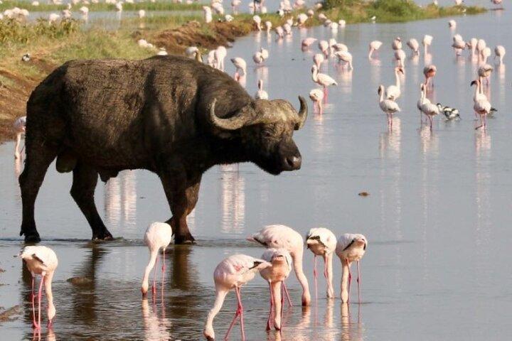 Overnight Tour to Hell’s Gate and Lake Nakuru National Park