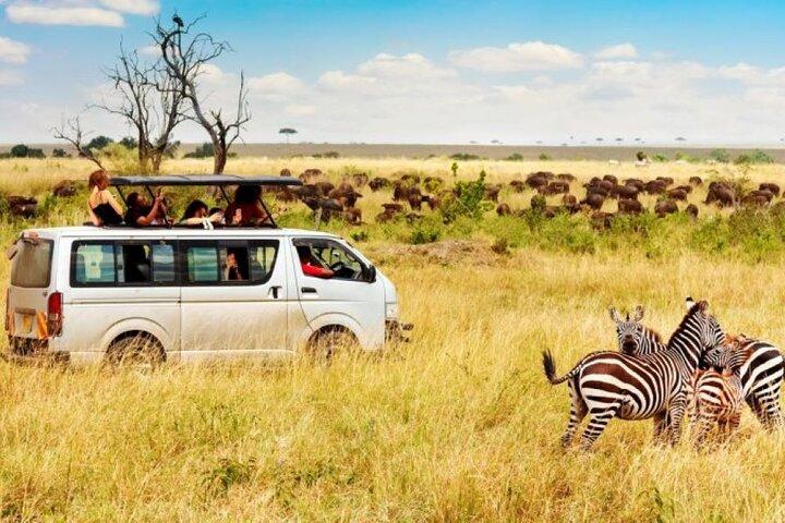 6 Days Group Safari to Masai Mara, Lake Nakuru and Amboseli Park