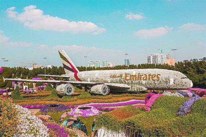 Dubai Miracle Garden Skip the Line E-Ticket