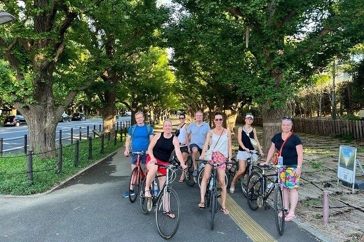 3-Hr Tokyo Bike Tour: Shibuya Highlights, Backstreets/Hidden Gems