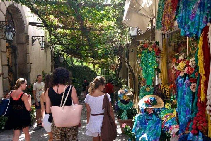Private Tour from Rome to Pompeii, Amalfi Coast and Positano