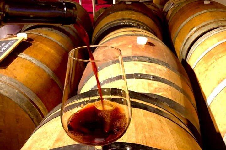 My Tuscan Farm - Wine, Pasta & Vineyard in One Day