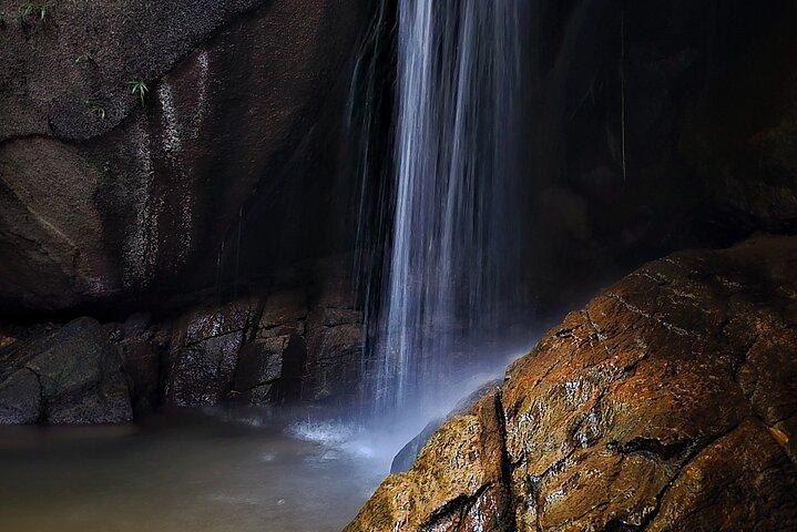 Small-Group Tijuca Forest Guided Tour