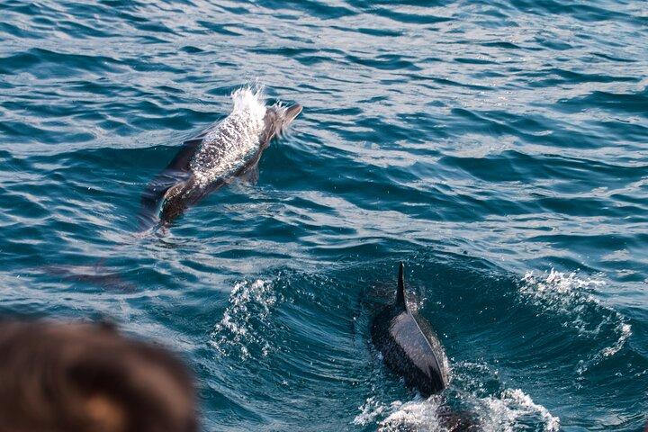 Catamaran and Snorkeling Tour in Costa Rica
