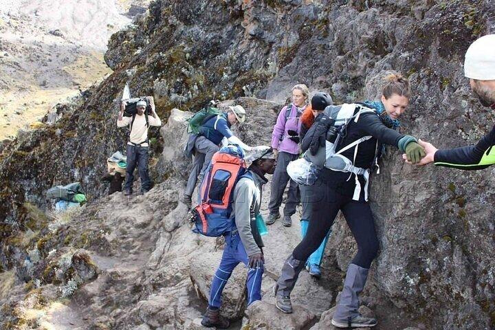 Private Day Tour Kilimanjaro Hike