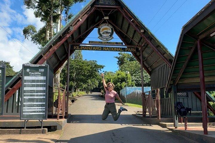 Private Day Tour Kilimanjaro Hike