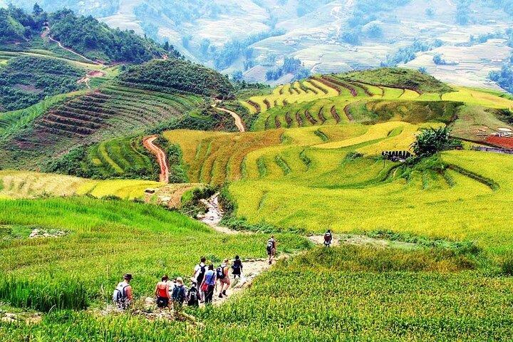 Sapa Village Homestay Experience 2D1N Tour from Hanoi