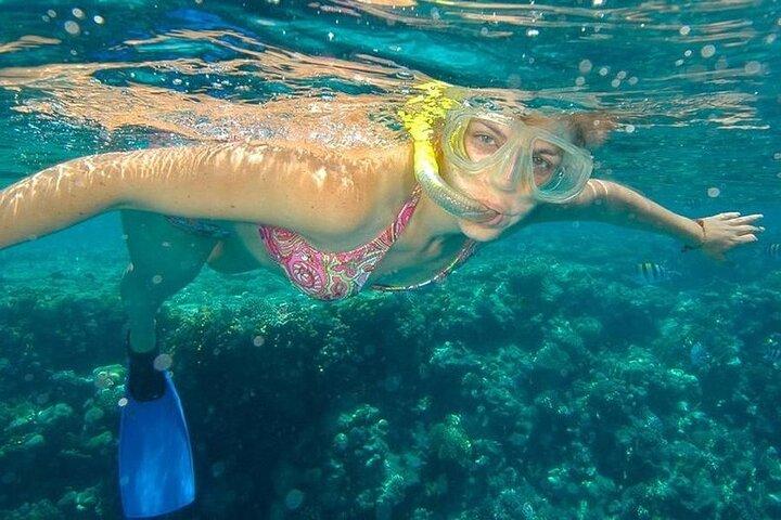 Beach Hopper 2-Stop Snorkeling Tour in Los Cabos