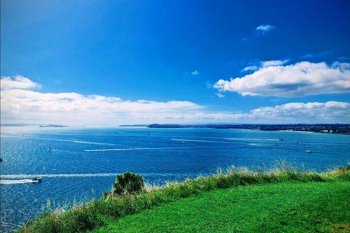 Private Auckland Highlight Day Tour