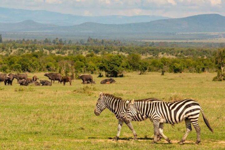 3 Days Safari to Ol Pejeta Conservancy from Nairobi