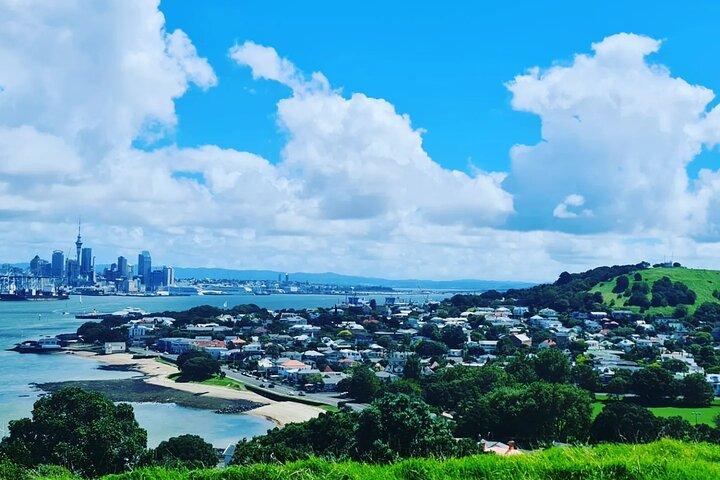 Private Auckland Highlight Day Tour