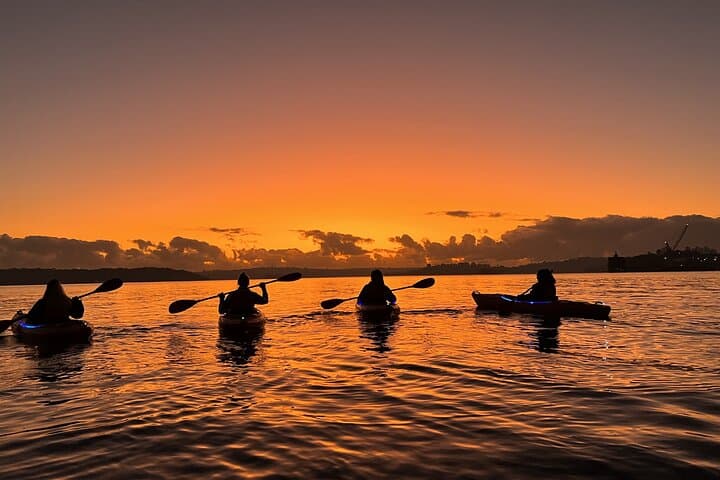 Sunrise Paddle Session on Sydney Harbour (single kayak)