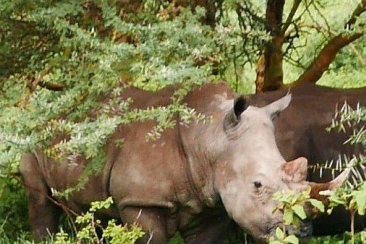 Overnight Tour to Hell’s Gate and Lake Nakuru National Park