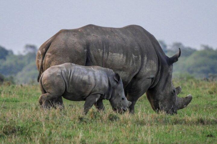 Overnight Tour to Hell’s Gate and Lake Nakuru National Park