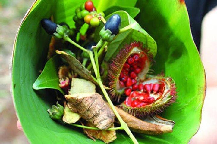 Zanzibar Stone Town, Prison Island & Spice Tour