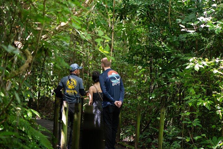 From San José: Carara National Park and Tárcoles River Tour