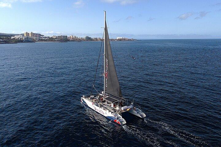 5 hr watching and listening whales and dolps. Visit Los Gigantes