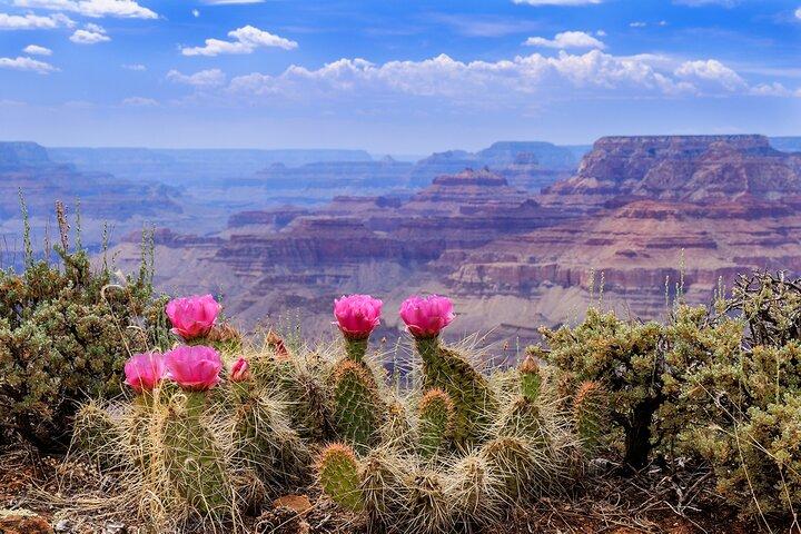 LA: San Francisco, Yosemite, Vegas, Grand Canyon &more 7days
