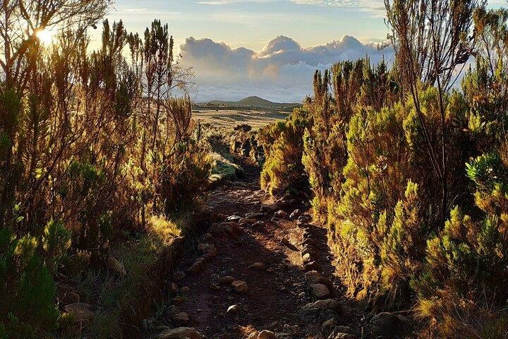 Marangu Route Day Trip