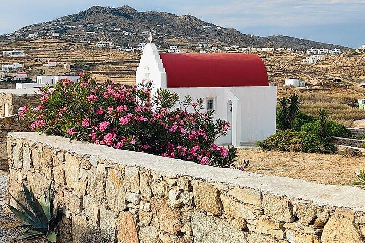 Best private local tour guided in Mykonos - 4 hours!