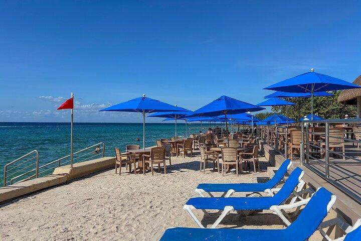 Money Bar Day Pass with Snorkel & Mexican Lunch