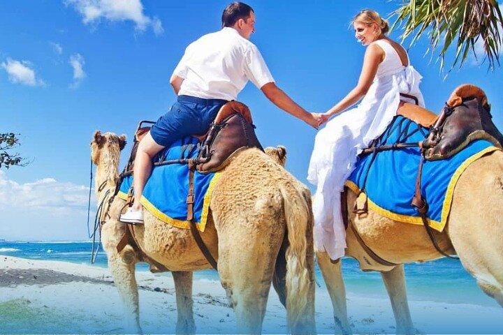Agadir Camel Ride with BBQ and Couscous Dinner