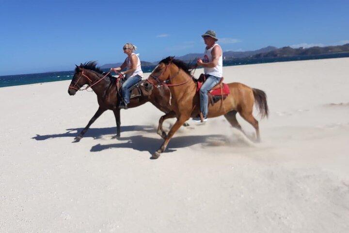 1 Hour Private Horseback Riding Tour in Playa Conchal