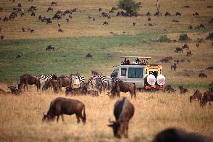 3 Days Masai Mara Group Budget safari in 4x4 Jeep Daily Tour