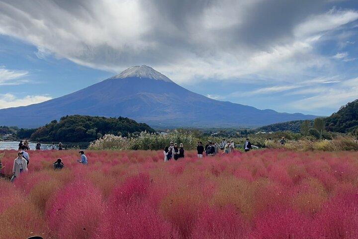 English-speaking Guided Tour:Mount Fuji & Hakone, Private Vehicle