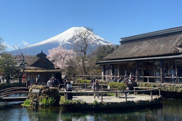 English-speaking Guided Tour:Mount Fuji & Hakone, Private Vehicle