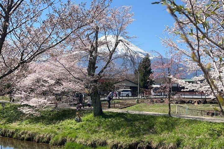 English-speaking Guided Tour:Mount Fuji & Hakone, Private Vehicle