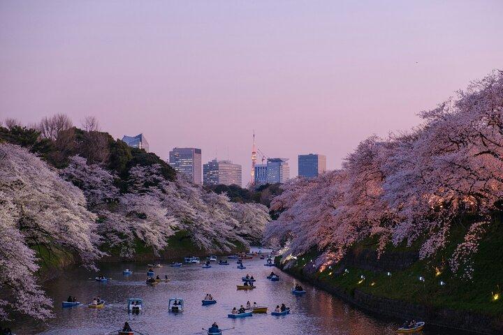 Private Tokyo City Tour With English Speaking Driver