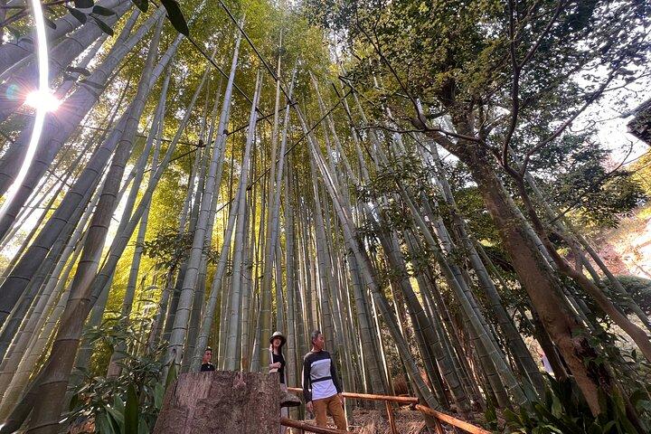 Kamakura and Enoshima Tour with Vehicle and Guide