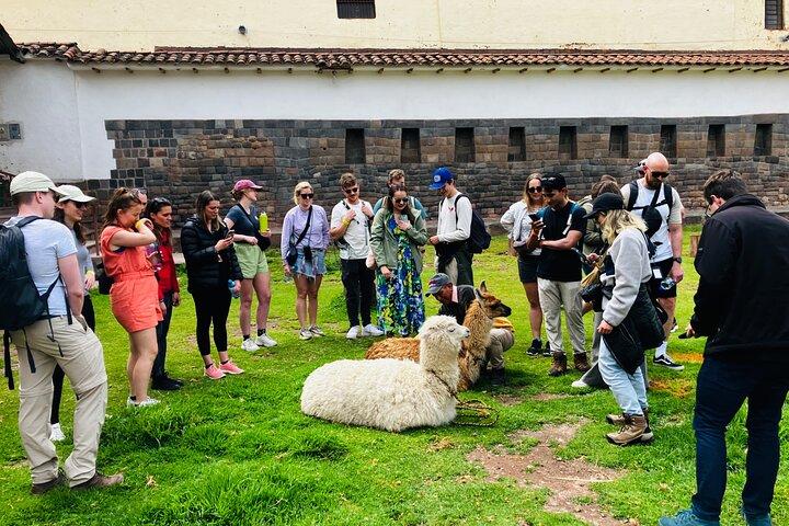 Cusco City Walking tour: Historia, Tradition, Culture
