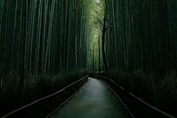 Kyoto&Nara&Osaka: One day private Customized Car tour