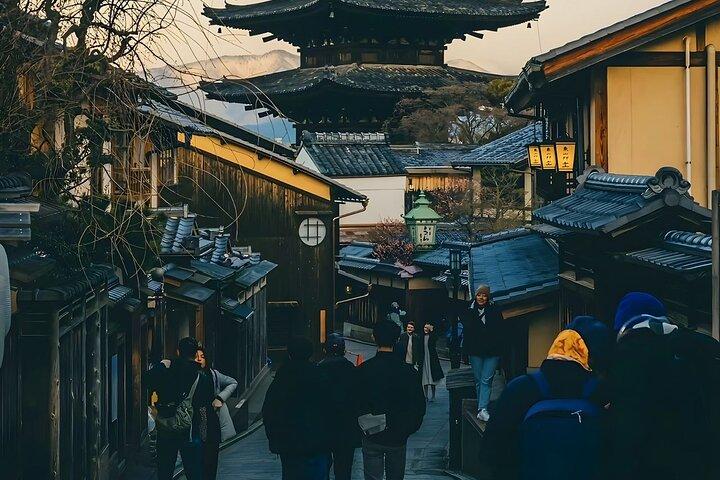 Kyoto&Nara&Osaka: One day private Customized Car tour