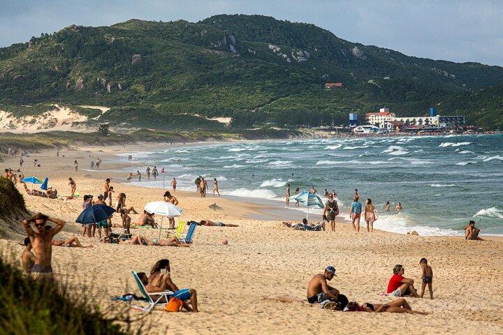 Discover Florianópolis: Full Day City Tour and Local Highlights