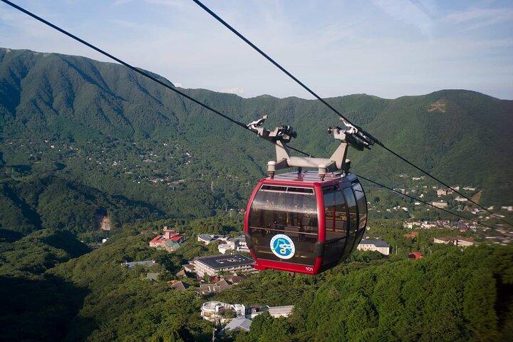 Mt. Fuji Hakone Shrine, Owakudani English Bus Tour or Small Group