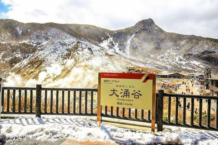 Mt. Fuji Hakone Shrine, Owakudani English Bus Tour or Small Group