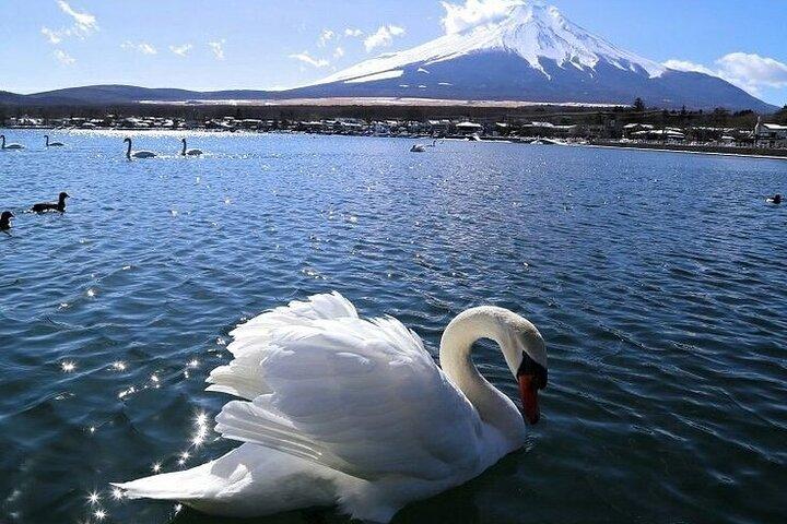 Mt. Fuji Hakone Shrine, Owakudani English Bus Tour or Small Group