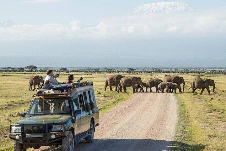 Amboseli Multi Day Tour from Nairobi