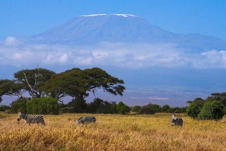 Amboseli Multi Day Tour from Nairobi