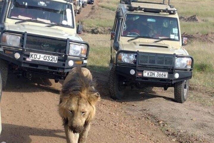 Amboseli Multi Day Tour from Nairobi