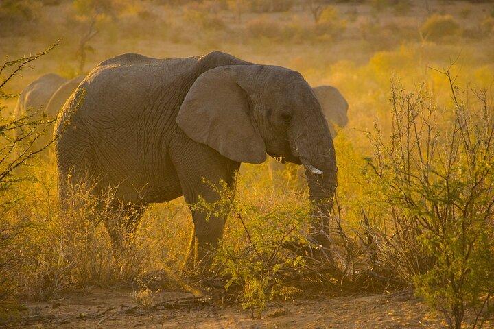 Gambia to Senegal Tour with Ferry Crossing and Safari Park