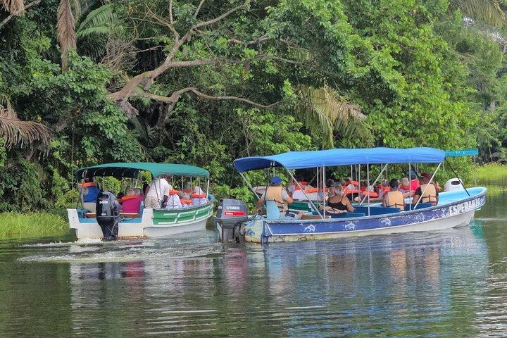 Monkey Watch and Gatun Lake Wildlife Safari Private Tour