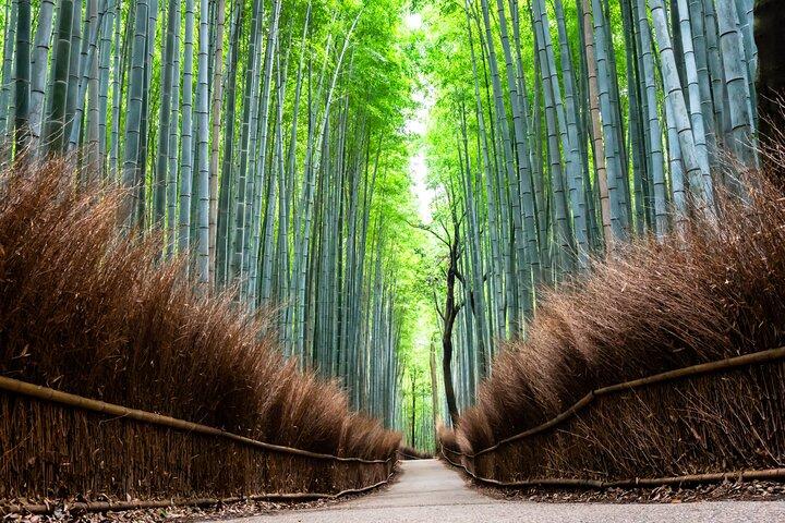 Kyoto Private Highlights Tour by Car